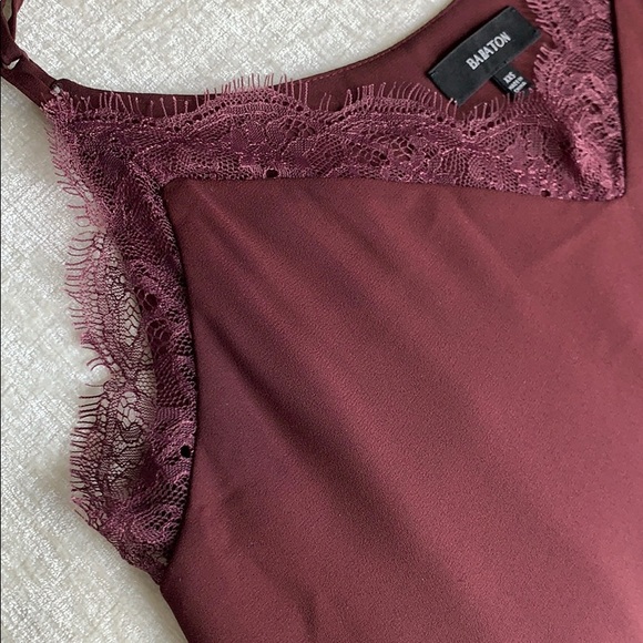 Aritzia Babaton Lace Camisole - Picture 3 of 7